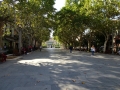 DSC00213